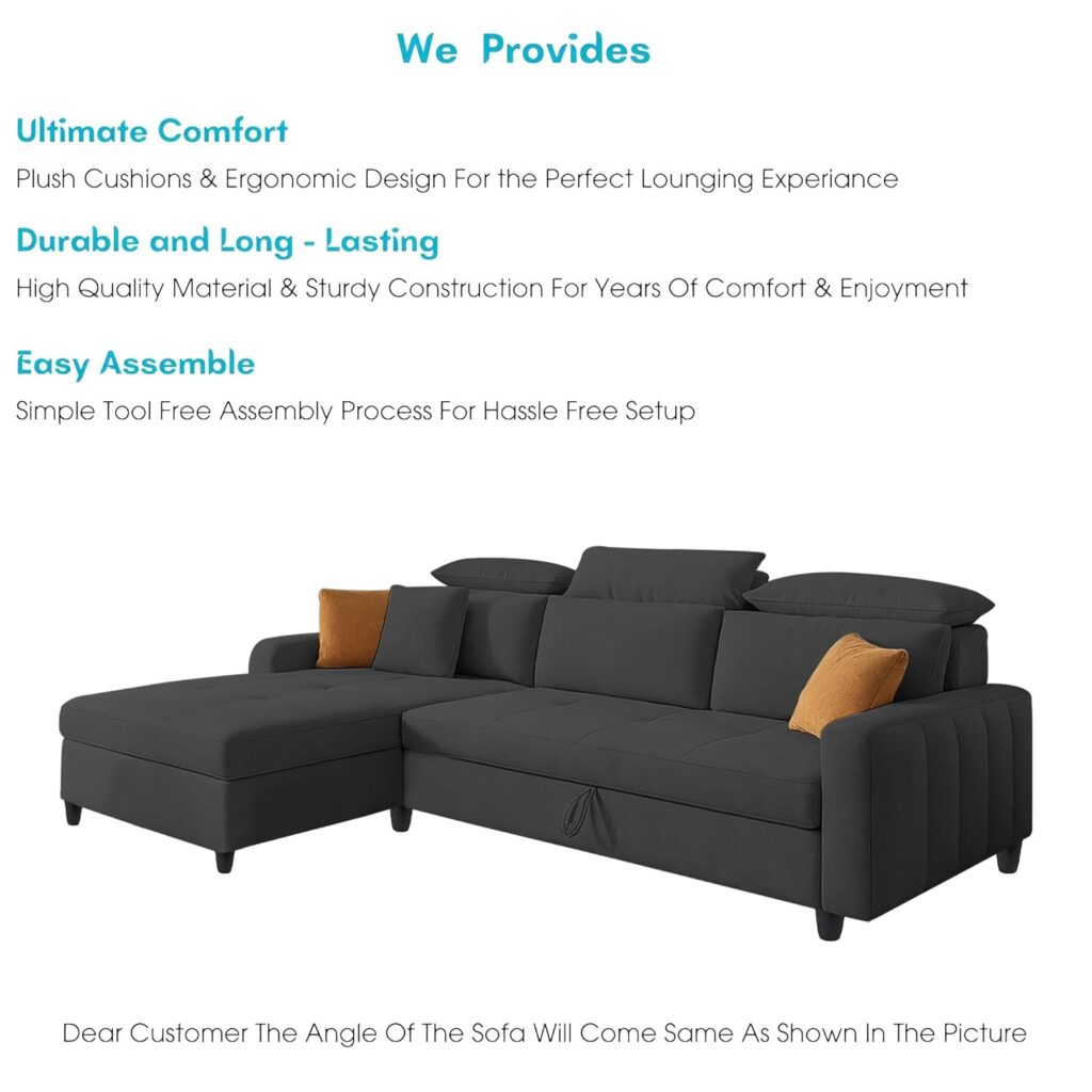 Casaliving Gagnon 4 Seater Sofa Cum Bed Black
