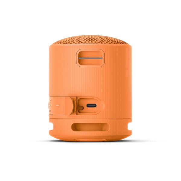 Sony SRS-XB100 Wireless Bluetooth Portable Lightweight Super-Compact Travel Speaker, Extra-Durable IP67 Waterproof & Dustproof, 16 Hrs Batt, Versatile Strap, Extra Bass & Hands-Free Calling-Orange